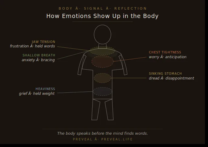 A stylised human figure on a dark background with five labelled zones showing where emotions show up physically: jaw tension for frustration, chest tightness for worry, shallow breath for anxiety, sinking stomach for dread, and heaviness for grief, part of Preveal's body signal interpretation framework.